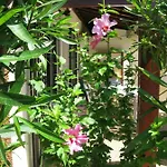 - Maison De Casa vacanze