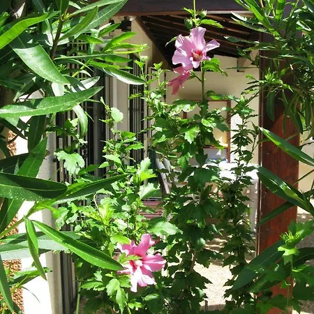 - Maison De Сasa de vacaciones