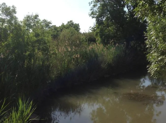 - Maison De Nyaraló