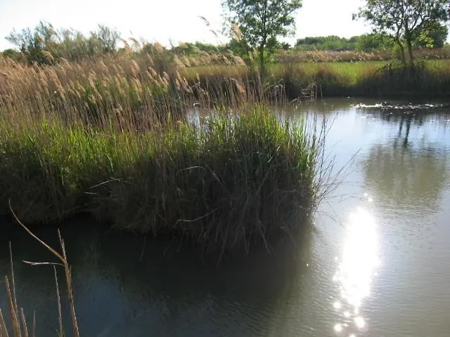 Nyaraló - Maison De